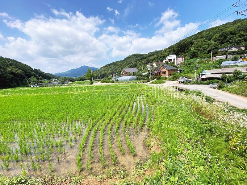 양평군 양서면 도곡리 농지_13